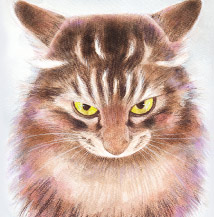 �y�b�g����G���� ������уT���l�C���V�[�E�Y�[ ��