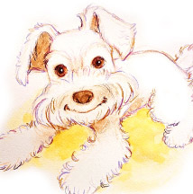 �y�b�g����G.�ё��搻�� �������T���v���� �Č����R��,���R�s,�q�~�s,�ÎR�s,�ʖ�s