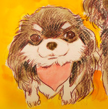 �y�b�g����G.�ё��搻�� �������T���v���� �}���`�J����ʌ�,�������܎s,����s,��z�s