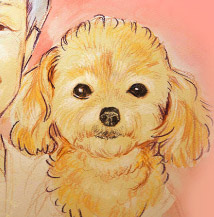 �y�b�g����G.�ё��搻�� �������T���v���� ���{�L���ꌧ,��Îs,�F���s,���l�s,�ߍ]�����s