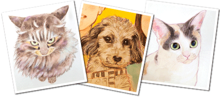 �y�b�g����G.�ё��搻�� �X�g���[�g�d�グ�R�[�X�̍��T���v�� �򕌌�,�򕌎s,��_�s